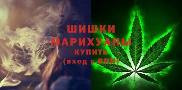 СК Богородицк