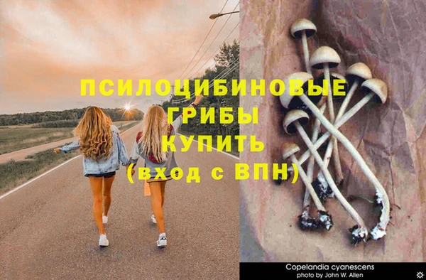 СК Богородицк