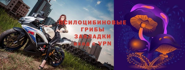 СК Богородицк
