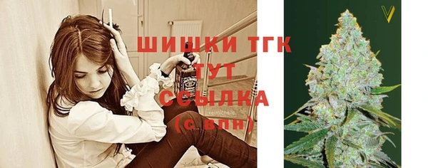 СК Богородицк