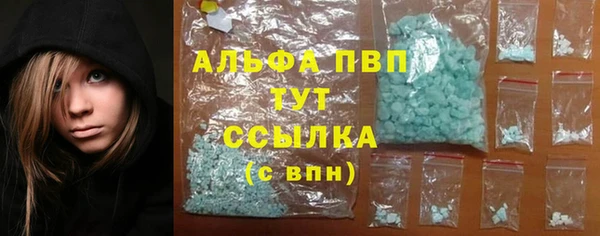 СК Богородицк