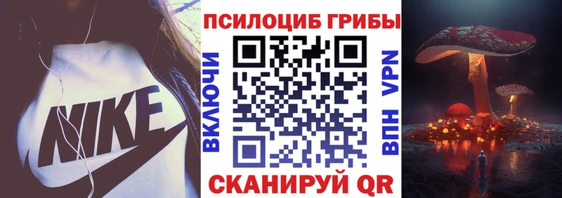Купить закладки  Зарайск  Псилоцибиновые грибы мицелий 